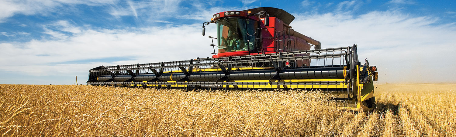 Wheat Yields